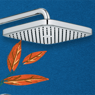 Douche de tête 250 mm